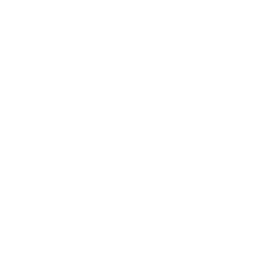 Custom Industry Solutions